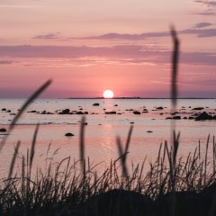 Mare majutus Uiõ-Matu talus