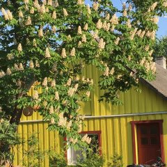 Privatunterkunft Kuraga auf der Insel Kihnu