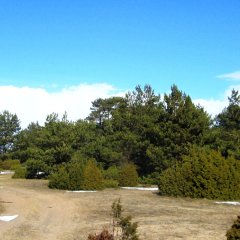 Suarõ ninä – Strand und alte Anlegestelle