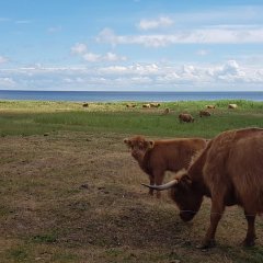 Risti majutus Kihnus