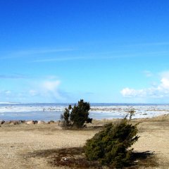 Suarõ ninä – Strand und alte Anlegestelle