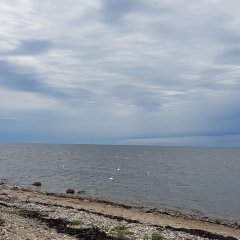 Risti majutus Kihnus